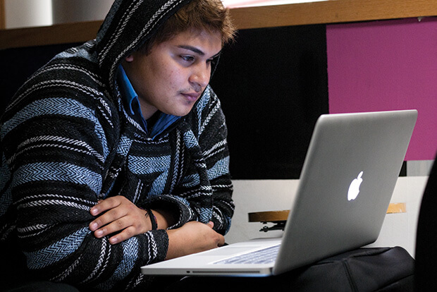 person looking at computer screen