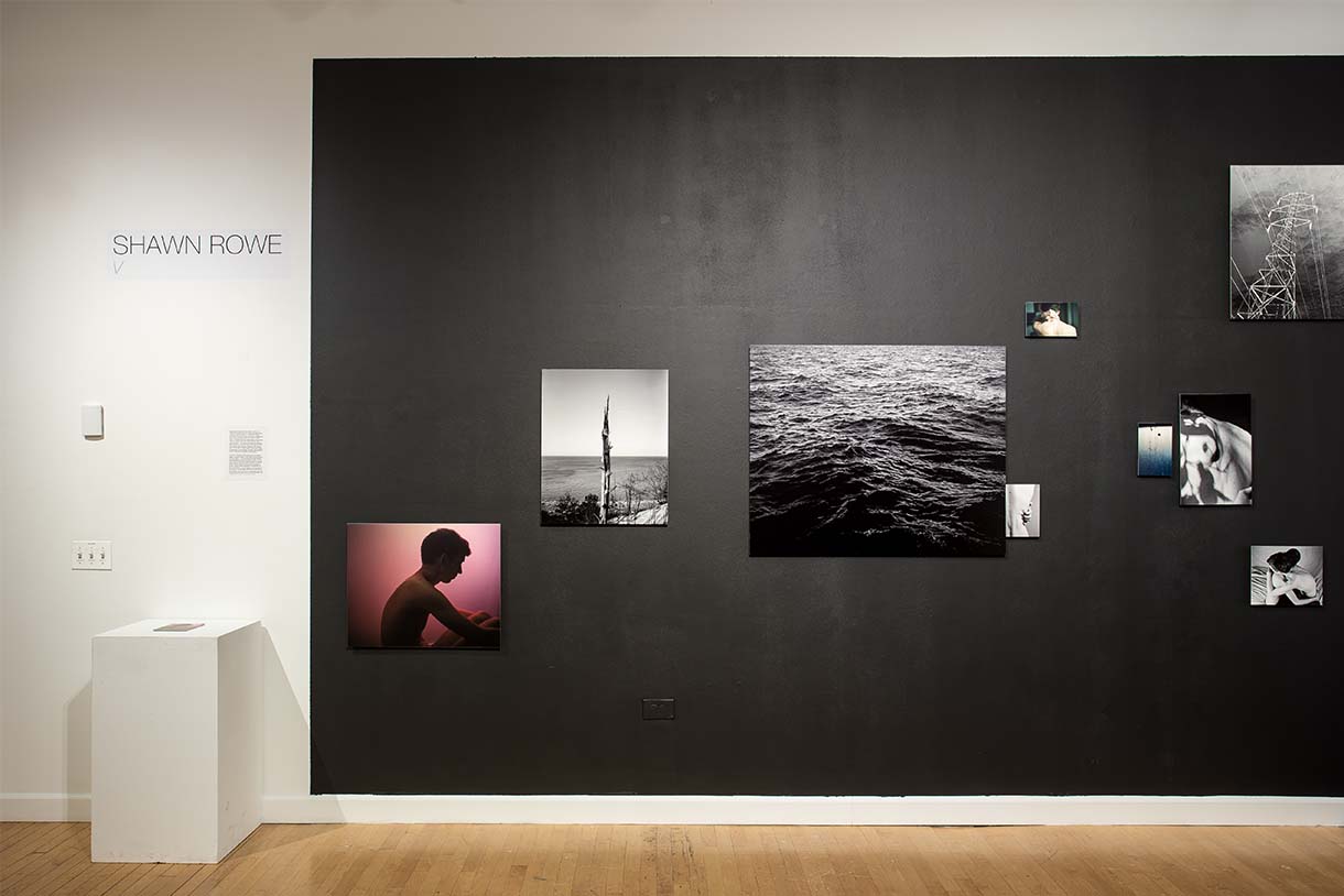Shawn Rowe exhibit, Z, 2018