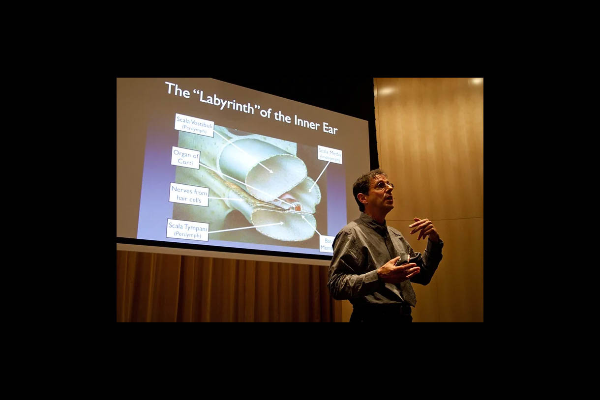 Photo of Benj Kanters teaching students. He is in front of screen that says "The 'labyrinth" of the inner ear." 
