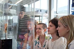 Fashion Studies students look at award through glass.