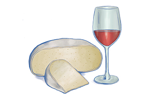 Cheese Illustration
